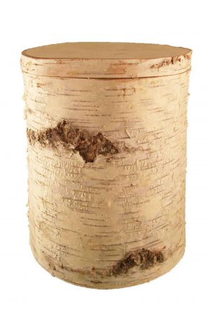 Biologisch abbaubare Baumstamm Urne Birke
