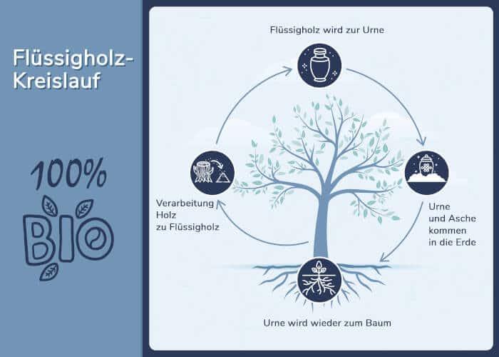 info kreislauf biologische urnen regeneration 1