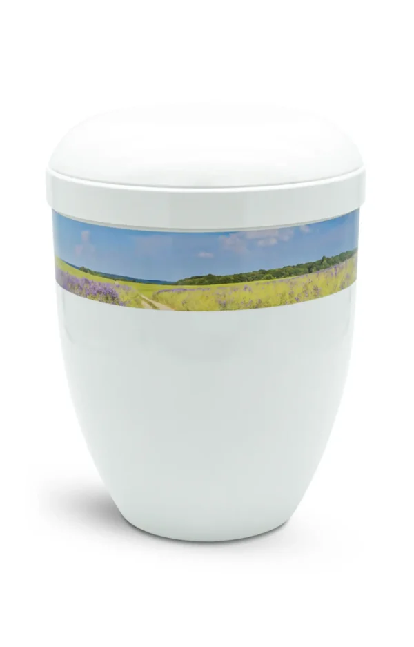 Fotourne mit Blumenfeld und blauem Himmel