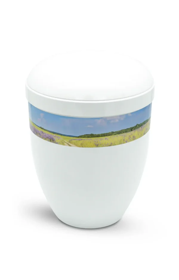 Fotourne mit Blumenfeld und blauem Himmel