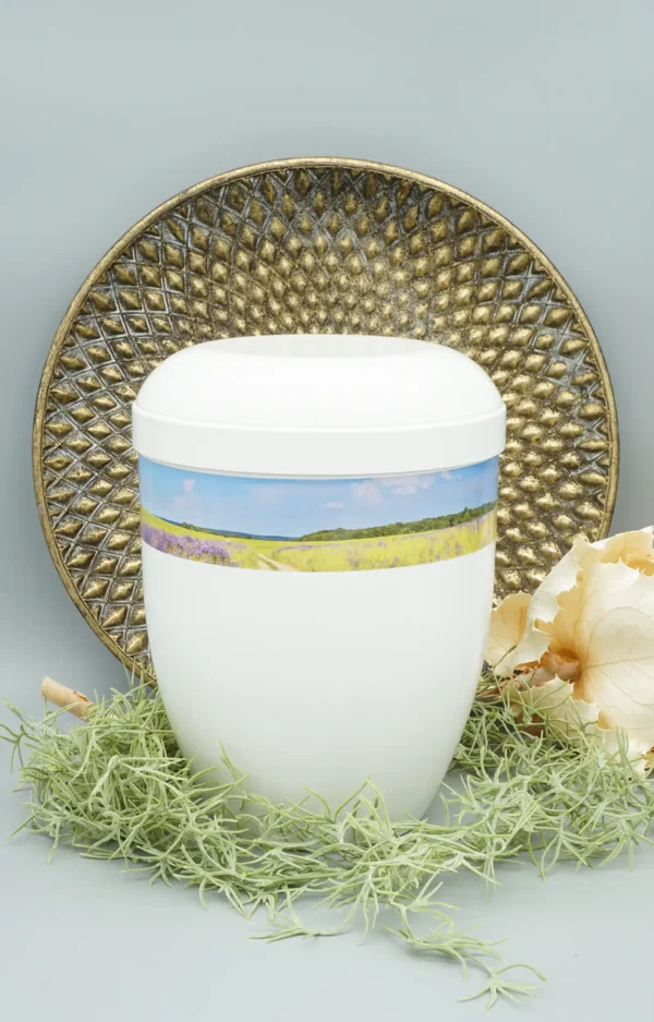 Fotourne mit Blumenfeld und blauem Himmel mit dekorativem Hintergrund