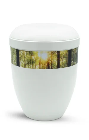 Fotourne mit Wald und Sonnenlicht