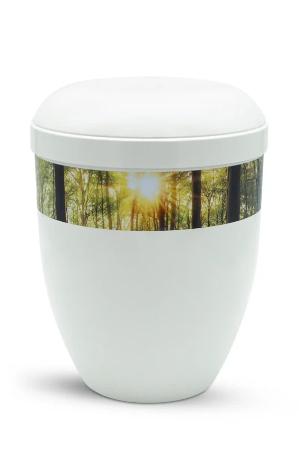 Fotourne mit Wald und Sonnenlicht
