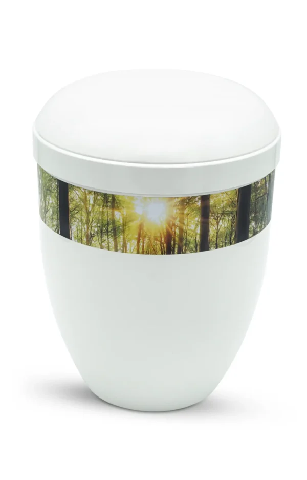 Fotourne mit Wald und Sonnenlicht