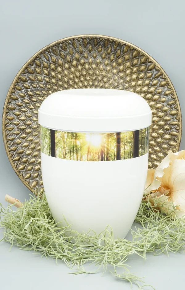 Fotourne mit Wald und Sonnenlicht mit dekorativem Hintergrund