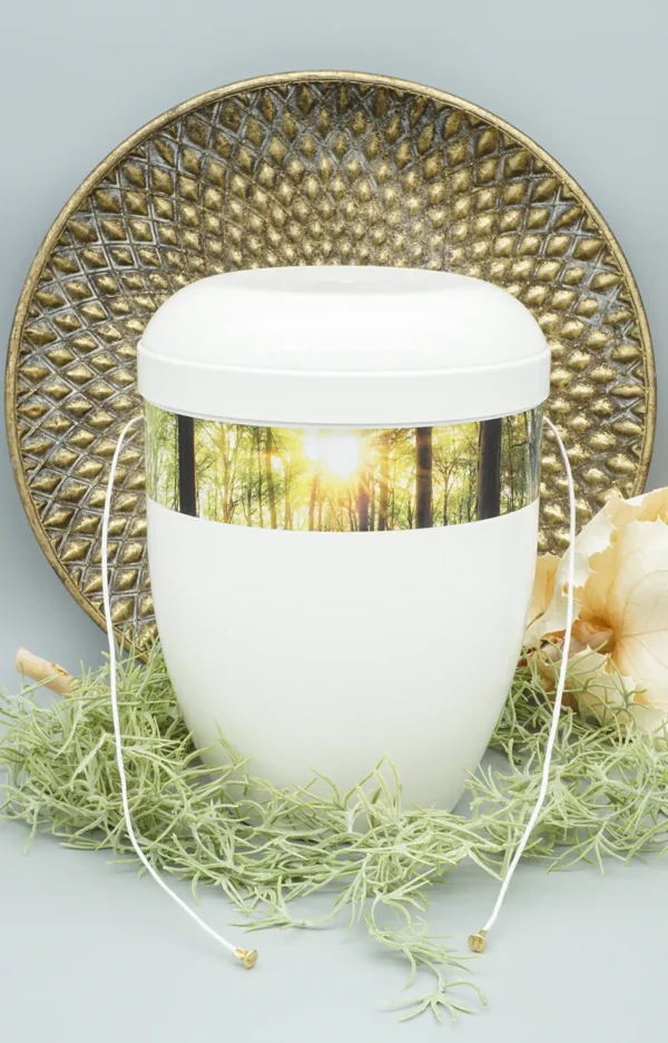 Fotourne mit Wald und Sonnenlicht mit Ablassschnur