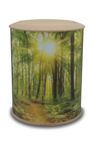 Fotourne - Waldweg des Abschieds