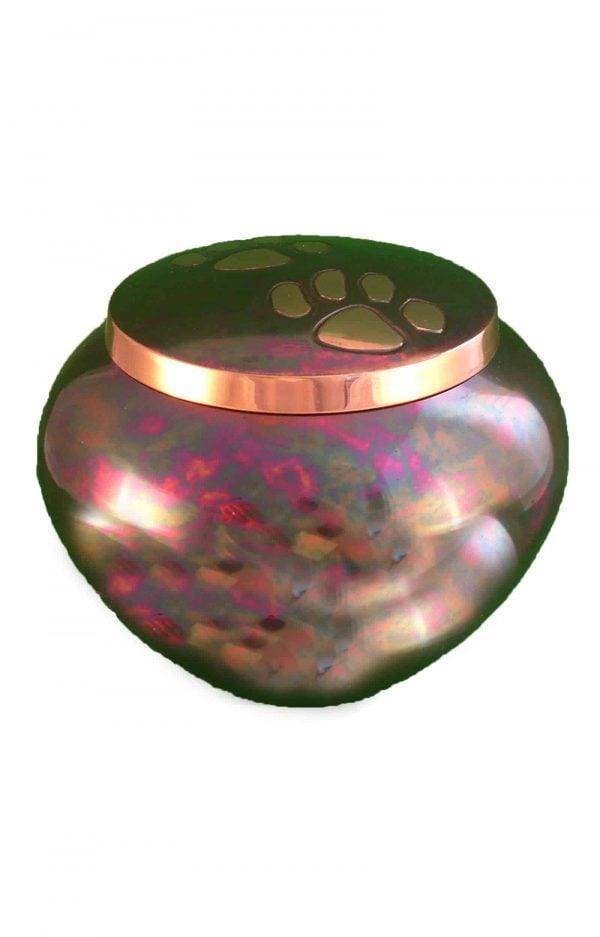 de-TIB1542-mehrfarbig-pfotenabdruck-tier-urne