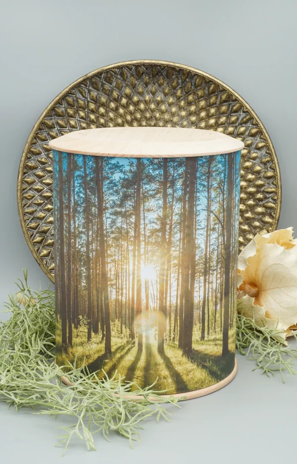 Fotourne mit Wald und Sonnenstrahlen und dekorativem Hintergrund