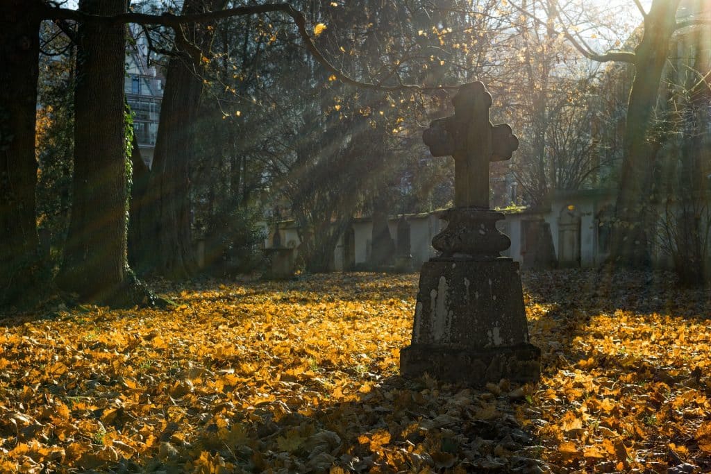 Woran sterben die meisten Menschen? Die häufigsten Todesursachen weltweit