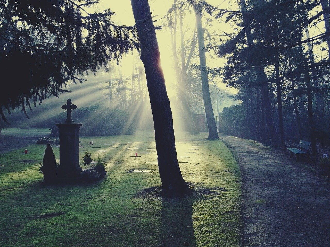 Friedhofssatzung – Regeln und Vorschriften für eine würdevolle Bestattung